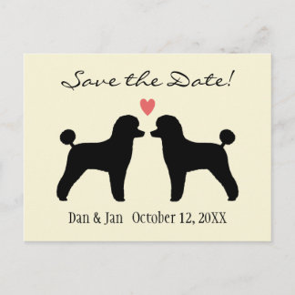 Cartão Postal De Anúncio Poodles Pretos de Brinquedo Casamento Salve a Data