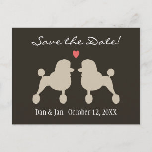 Cartão Postal De Anúncio Poodles Standard Elegantes Casamento Salve a Data