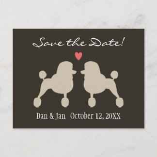 Cartão Postal De Anúncio Poodles Standard Elegantes Casamento Salve a Data
