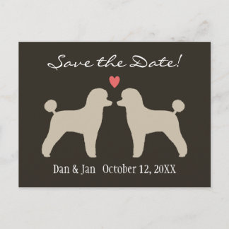 Cartão Postal De Anúncio Poodles Toy Casamento Salve a Data