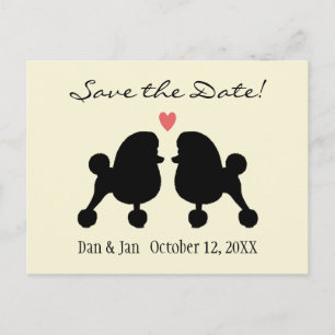 Cartão Postal De Anúncio Poodles Toy Pretos Elegantes Casamento Salve a Dat