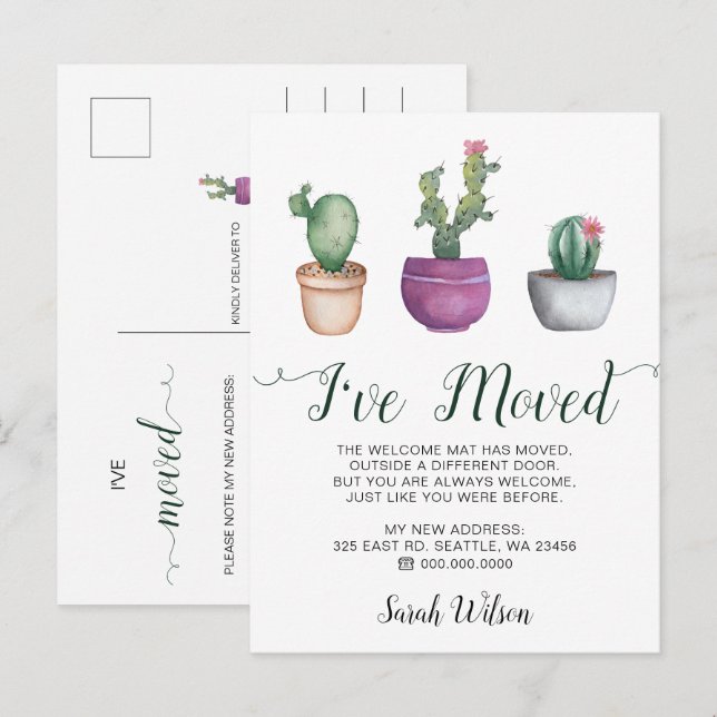 Cartão Postal De Anúncio Potes Rustic Watercolor Cactus Que Movi Em Movimen (Frente/Verso)