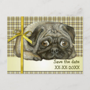 Cartão Postal De Anúncio Pug aconchegante
