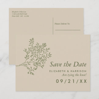 Cartão Postal De Anúncio Ramo de Oliveira, Casamento Rústico Salve o Dia