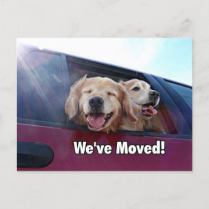 Cartão Postal De Anúncio Retriever de ouros Movimentamos Novo Endereço