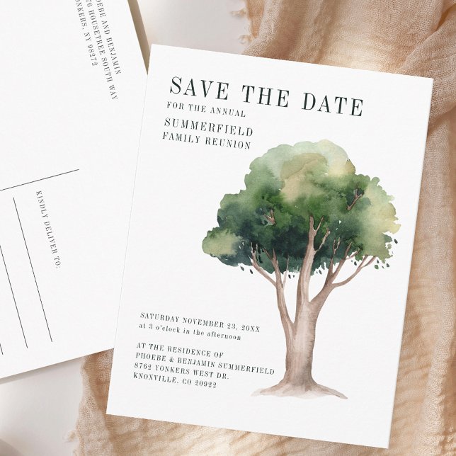 Cartão Postal De Anúncio Reunião Anual da Família Árvore Genealógica Salve  (Annual Family Reunion Genealogy Tree Save the Date Announcement Postcard)
