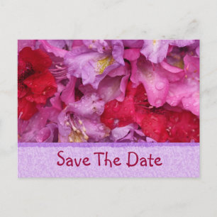 Cartão Postal De Anúncio Rico Flora SaveThe Date Card
