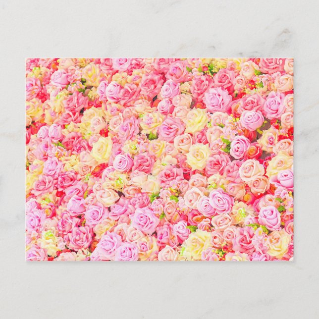 Cartão Postal De Anúncio Rosa (Frente)