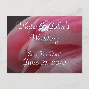 Cartão Postal De Anúncio Rosa Rosa Rosa