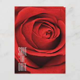 Cartão Postal De Anúncio Rosa Vermelha Branco (Qualquer Cor) Glam Salvar a