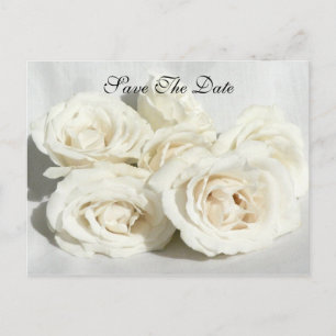 Cartão Postal De Anúncio Rosas em Linen