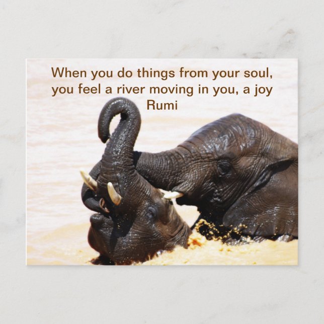 Cartão Postal De Anúncio Rumi Alma alegria (Frente)