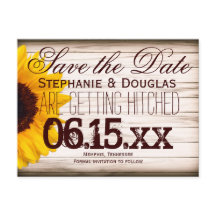 Rústico País Girassol Salva Cartões-postais