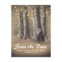 Salvar a Data do Casamento com Luzes de Árvore e C