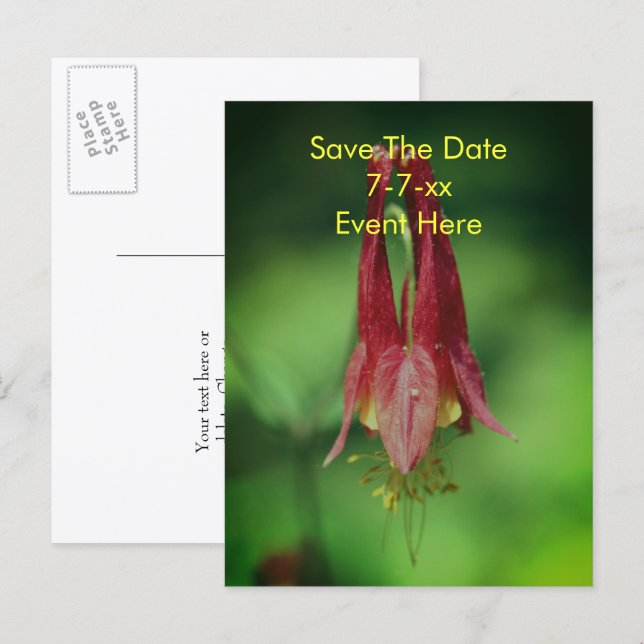 Cartão Postal De Anúncio Salvar a Data Flor de Columbine Selvagem (Frente/Verso)