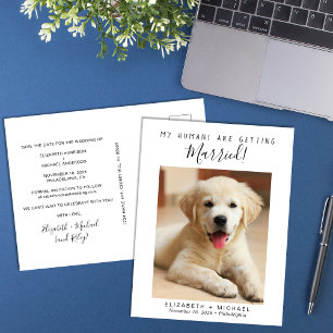 Cartão Postal De Anúncio Salvar a Data para Fotos de Animais de Estimação