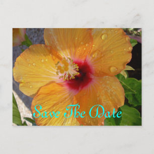 Cartão Postal De Anúncio Salvar o Cartão-Postal de Hibiscus de Data