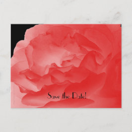 Cartão Postal De Anúncio Salve a data 10º Rosa de Coral da Parte do Anivers