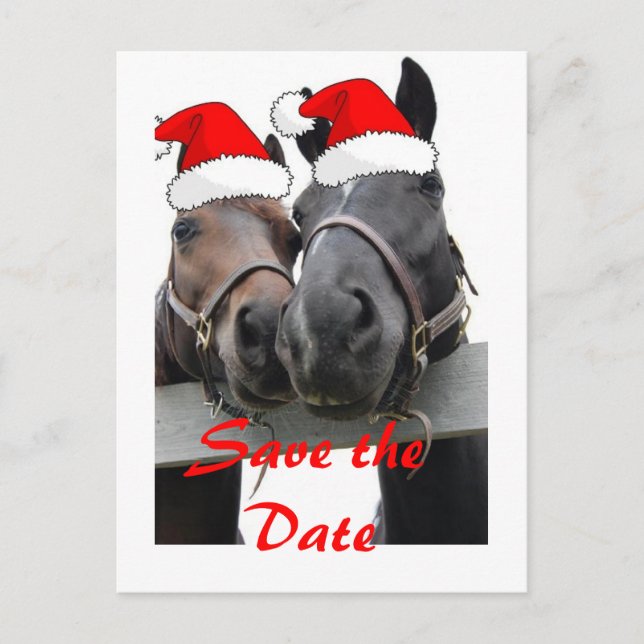 Cartão Postal De Anúncio Salve a Data/Cavalos de Natal (Frente)