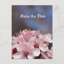 Cartão Postal De Anúncio salve a data, cereja floresce