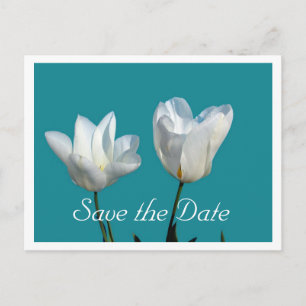 Cartão Postal De Anúncio salve a data, duas flores de tulipa brancas