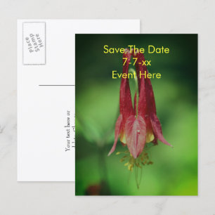 Cartão Postal De Anúncio Salve A Data Flor De Columbine Selvagem