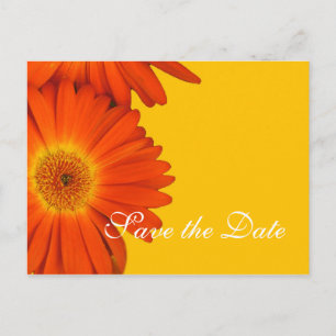 Cartão Postal De Anúncio salve a data, flores de gerbera margarida