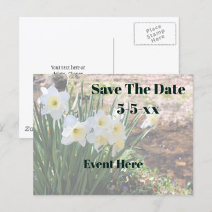 Cartão Postal De Anúncio Salve A Data Flores De Narciso Brancas