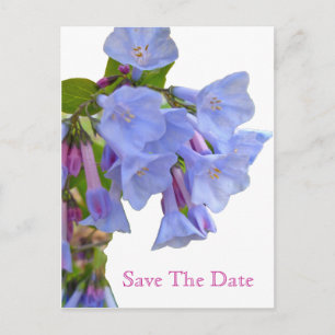 Cartão Postal De Anúncio Salve a Data Virginia Bluebells