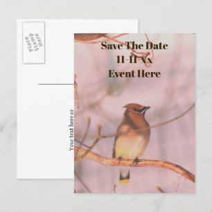 Cartão Postal De Anúncio Salve A Data Waxwing Nature Personalizado