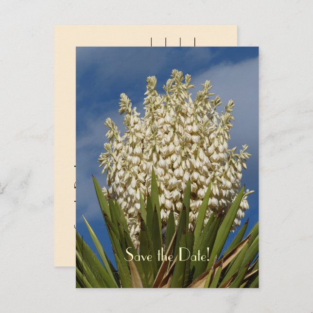 Cartão Postal De Anúncio Salve o Cartão-Postal de Celebração de Aniversário (Frente/Verso)