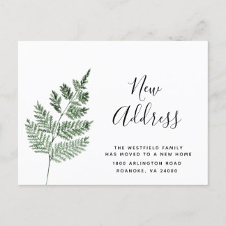 Cartão Postal De Anúncio Samambaia Verde Nova Morada Botânica Simples Mudan