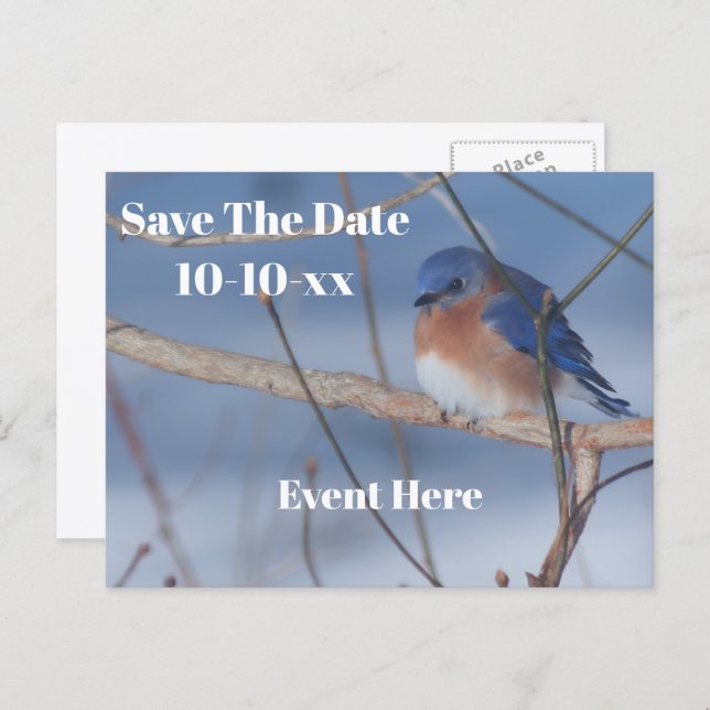 Cartão Postal De Anúncio Save The Date Bluebird Nature Personalized (Frente/Verso)