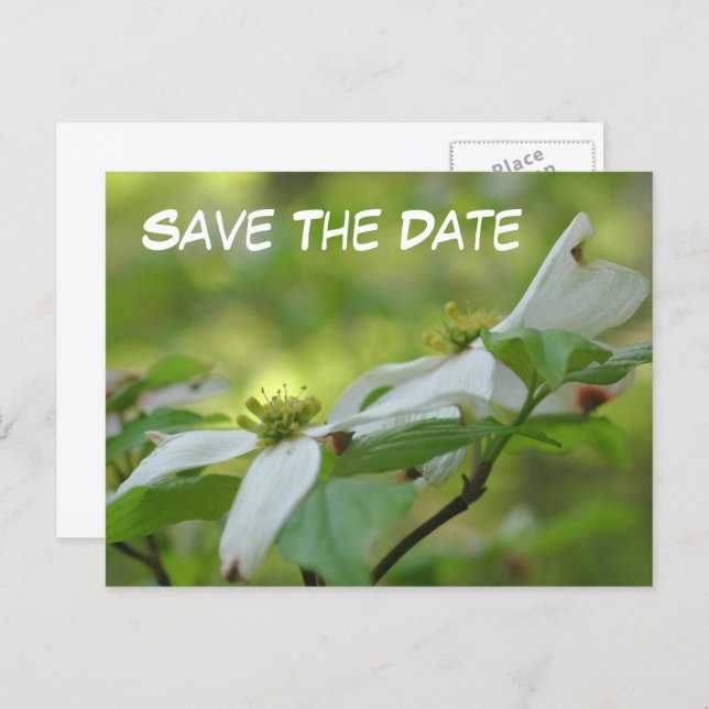 Cartão Postal De Anúncio Save The Date Dogwood Flower Photo  (Frente/Verso)