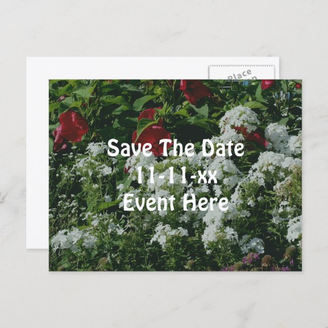 Cartão Postal De Anúncio Save The Date Hibiscus Phlox Flower Garden (Frente/Verso)