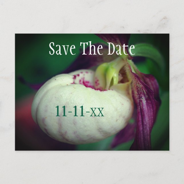 Cartão Postal De Anúncio Save The Date Lady Slipper Flower Personalized (Frente)