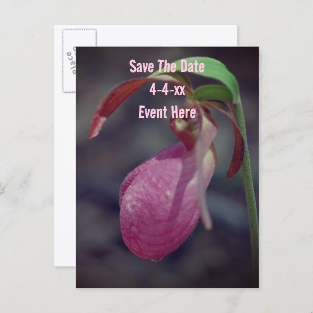Cartão Postal De Anúncio Save The Date Wild Pink Lady Slipper Flower  (Frente/Verso)