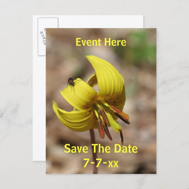 Cartão Postal De Anúncio Save The Date Wild Trout Lily Flower  (Frente/Verso)