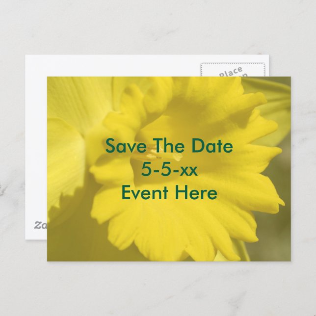 Cartão Postal De Anúncio Save The Date Yellow Daffodil Flower  (Frente/Verso)