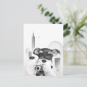 Cartão Postal De Anúncio Schnauzer com câmera