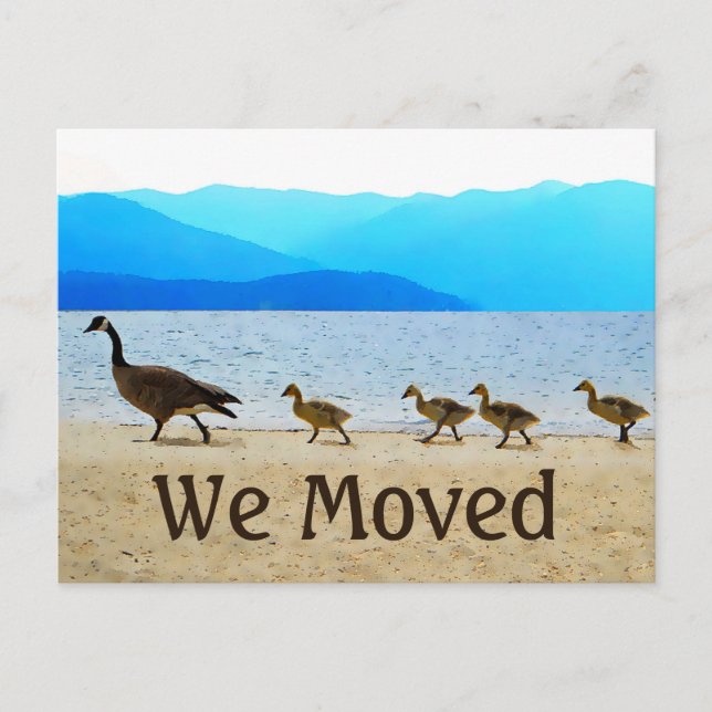 Cartão Postal De Anúncio Shore Patrol Canada Geese (Frente)