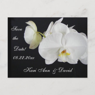 Cartão Postal De Anúncio Sonho de Orquídea