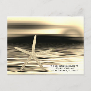 Cartão Postal De Anúncio Starfish Preto-Sunset Dourado Movido para a Flóri