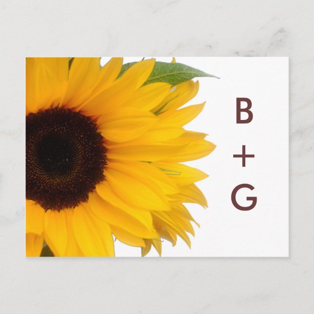 Cartão Postal De Anúncio Sunflower Save the Date Postcard (Frente)