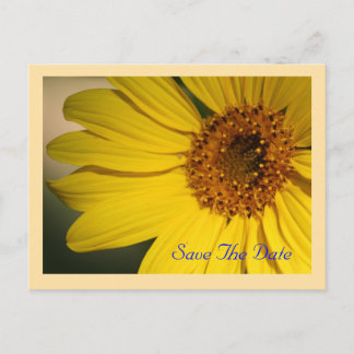 Cartão Postal De Anúncio Sunflower Save The Date Postcard