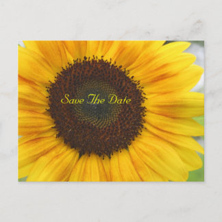 Cartão Postal De Anúncio Sunflower Save The Date Postcard