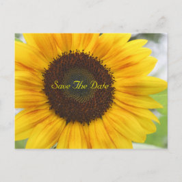 Cartão Postal De Anúncio Sunflower Save The Date Postcard