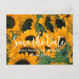 Cartão Postal De Anúncio Sunflower Wedding Salva a Data
