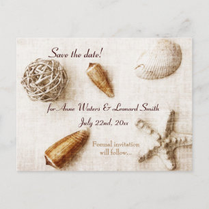Cartão Postal De Anúncio sussurro do oceano - conchas elegantes salvar a da