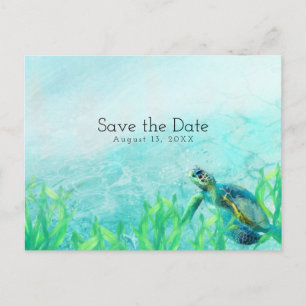 Cartão Postal De Anúncio Tartaruga Marinha Praia Oceânica Arte Casamento Sa